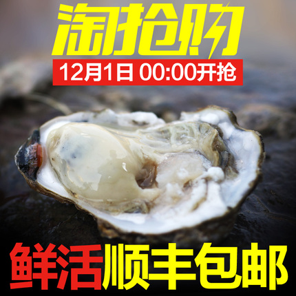 威海乳山 野生带壳鲜活牡蛎 新鲜海蛎子 5斤 优惠券折后￥49顺丰包邮（￥59-10）