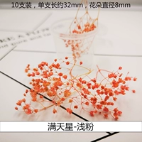 Трехмерные сушеные цветы полны звезд светло -розовых (1 коробка)