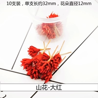 Трехмерные высушенные цветочные горы цветы красные (10 цветов)