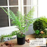 Маленький пилоценный лист