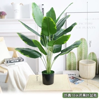 Симуляция 18 головных банановых листьев