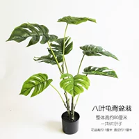 8 листовых черепах с горшками