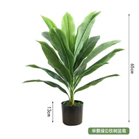 Одно зеленый край Железное дерево