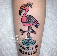 Письмо розовая птица