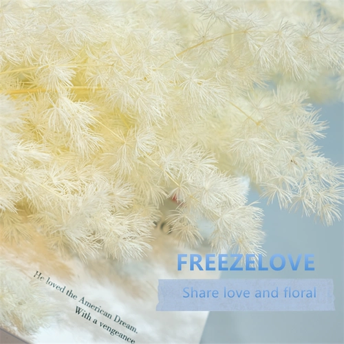 Freeezelove Экспорт -Класс белая сосновая игла Вечная цветочная коробка DIY с цветами