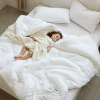 Noble Bai-Cotton Bacterium-Winter