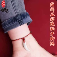 Красочные веревки простые собачьи зубы (модель для взрослых) 18-28 см регулируется