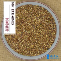 250 граммов лекарственных материалов Дасако (菟 菟 菟 菟) Этот продукт представляет собой семена виноградной лозы золотой лампы.