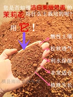 Плохое жасмин, посаживающее почву красная грязь, овощи, чистая грязь, мягкая увлажняющая камелия жасмин специальная почва