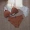Bánh quế bông tam giác đơn giản không có vòng thép áo lót phù hợp với retro rắn màu xanh cam BL07 - Bộ đồ lót