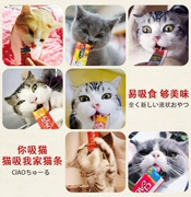Inabao tuyệt vời 噜 đồ ăn nhẹ cho mèo dạng lỏng đồ ăn ướt mèo gói đơn (cung cấp thử nghiệm) đầy đủ 50
