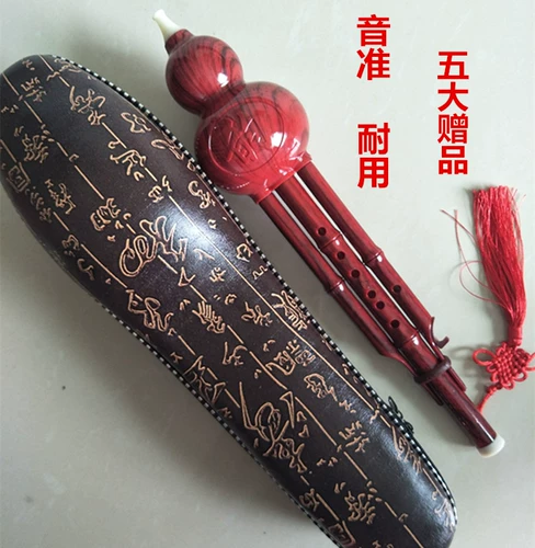 Детские музыкальные инструменты, обучающий набор для школьников для взрослых для начинающих