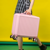 Порошок сакура [227]