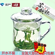 Màu xanh lá cây Táo Glass Tea Cup với Bìa Trà Cup Bìa Cup với Cốc Thủy Tinh Gia Dụng Trà Xanh Cốc Nước
