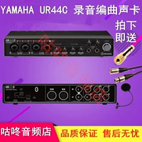 Yamaha/Yamaha Steinberg UR44C USB Audio Interface Professional Cards Card