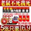 Товары от 专业灭蚁灭蟑灭鼠