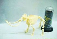 Мамонт