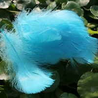 100 корней в синей дыре павлинового синего отверстия