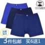 Trung niên và cũ đồ lót nam cotton ông già của boxer cotton kích thước lớn loose eo cha quần quần short mùa hè quần short sịp calvin klein