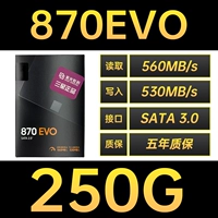 870 EVO 250G