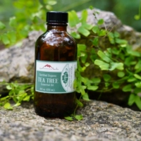 Натуральная эссенция чайного дерева, антибактериальное освежающее оригинальное масло для жирной кожи, США
