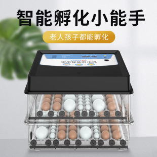 Incubator small automatic home -use incubator Intelligent incubator, the machine water bed incubator incubation box