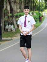 Рубашка, шорты, галстук, короткий рукав