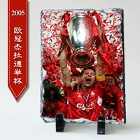 Лига чемпионов 2005 года Джеральд Кубок