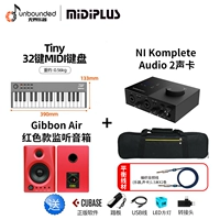 [Tiny] 32 Ключ+Ротари Свертан+Пользовательский пакет на пианино+Ni KOMPTETE AUDIO 2 Звуковая карта+банановая обезьяна Gibbon Air Red Monitoring Dinger [Tiny] 32 Ключ+Ротари Спикер модели модели воздуха