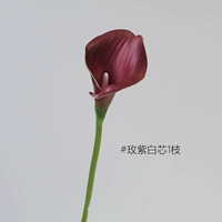Little Horseshoe Lotus 1 ветвь [розовая пурпур/белое ядро]
