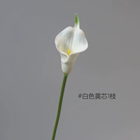 Little Horseshoe Lotus 1 [белое/желтое ядро]