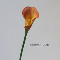 Little Horseshoe Lotus 1 [кофейный апельсин/белое ядро]