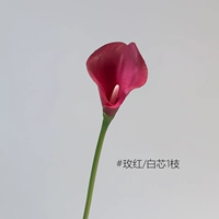 Little Horseshoe Lotus 1 [черный красный/белый ядро]