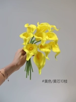 Little Horseshoe Lotus 10 [желтое/желтое ядро]