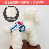 Синие физиологичные штаны, 60 штук