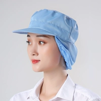 Задняя часть голубой сетки головы имеет чистый карман