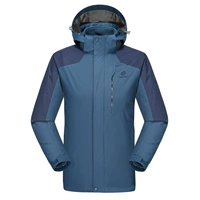 7709 Iron Blue-Male