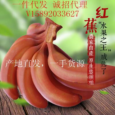 Специальность Fujian Nanjing Fresh Red Leather Banana Fire Dragon Banana Red Beauty Banain Farmers Farmers Self -5 фунтов