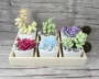 Mini sứ trắng mọng nước origami câu đố hướng dẫn sáng tạo DIY sản xuất quà tặng Yan giấy phù hợp với gói vật liệu đồ chơi lắp ráp