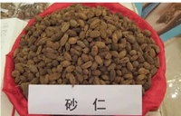 Amomumidum Китайские лекарственные материалы бирманские продукты отбираются из Amom Amomant 500 граммов песка и меда Western Amomum Amomum.