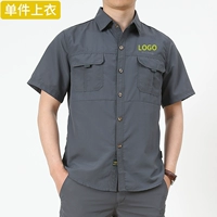 [Short -Sleeved] Одно верхняя серая может вышитая печать