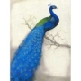Tự thêu kit thêu màu xanh con công thêu Phoenix mô hình động vật vẽ tay gửi hướng dẫn - Bộ dụng cụ thêu tranh thêu đồng hồ treo tường