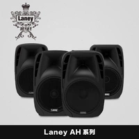 Great Wall Musical Instrument Laney AH Series 110 112 115 210 Loa hoạt động đa chức năng với Bluetooth loa b3
