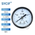 Thượng Hải Yichuan Y-40 Y-40Z đồng hồ đo áp suất xuyên tâm đường kính trục 40mm Nhận xét ren 1/8 hoặc M10 * 1 