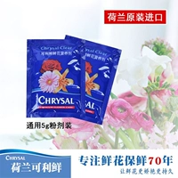 Подлинный голландский керри цветок хризал импортный оригинальный сохранение цветов свежее агент цветы сохранение питания