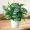Cây mô phỏng trang trí trong nhà và ngoài trời nhựa giả chậu trồng củ cải xanh trồng trong chậu mô phỏng hoa và cây web cây cà phê hoa giả - Hoa nhân tạo / Cây / Trái cây