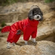Собака Rainwear-Red-Gong