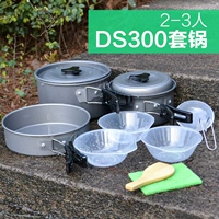 2-3 человека DS300 Set