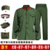Thật vậy, Liang 65 bộ đồ quân sự kiểu cũ thẻ polyester nam phong cách cũ bộ đồ khô hoài cổ quần áo dự tiệc sáu hoặc năm kiểu màu xanh lá cây phù hợp với phụ nữ trang phục dân tộc mông Trang phục dân tộc