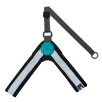 Светло-зеленая связка назад